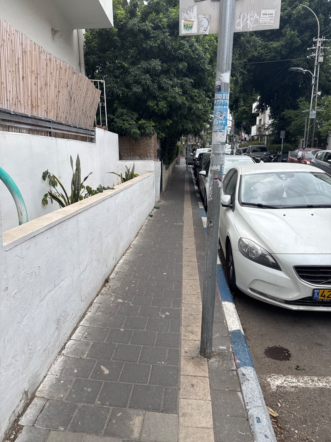 מזא"ה 50