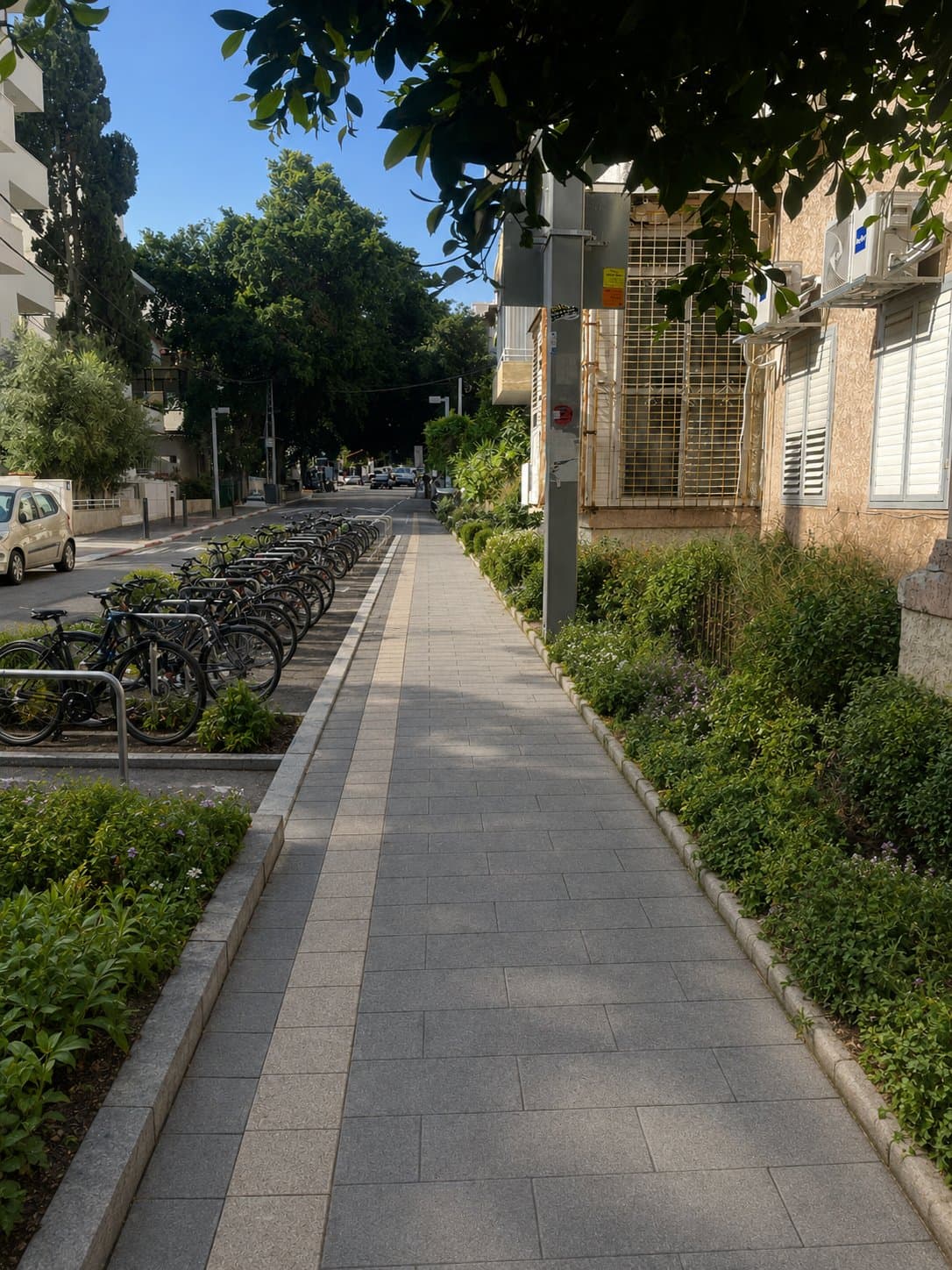 פיארברג 31