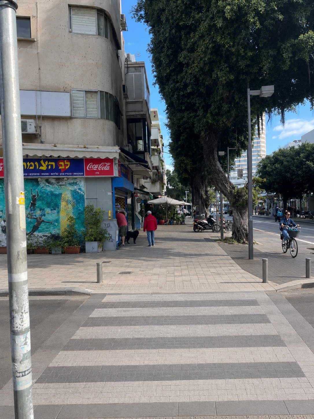 דיזנגוף 77