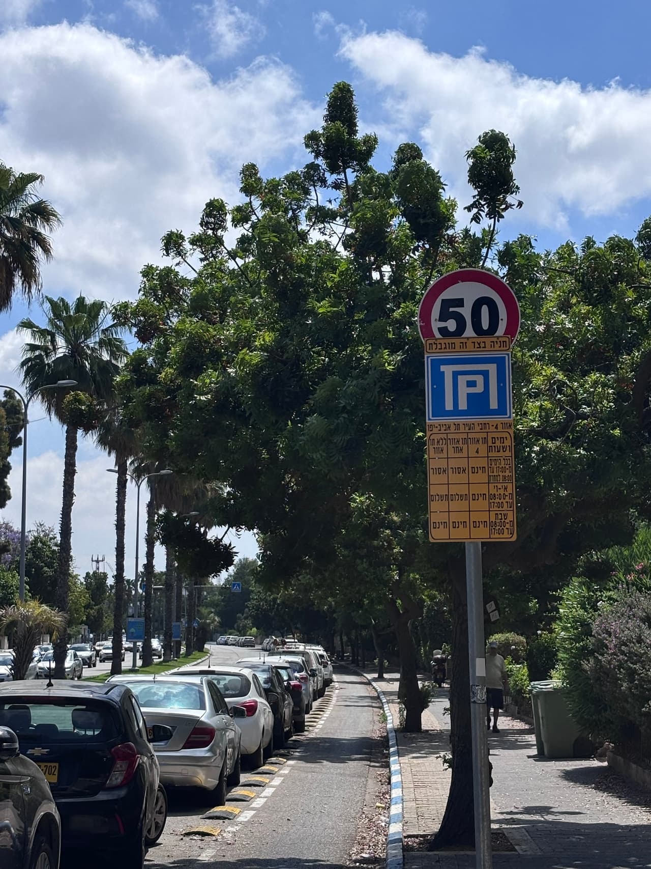 יצחק שדה 48