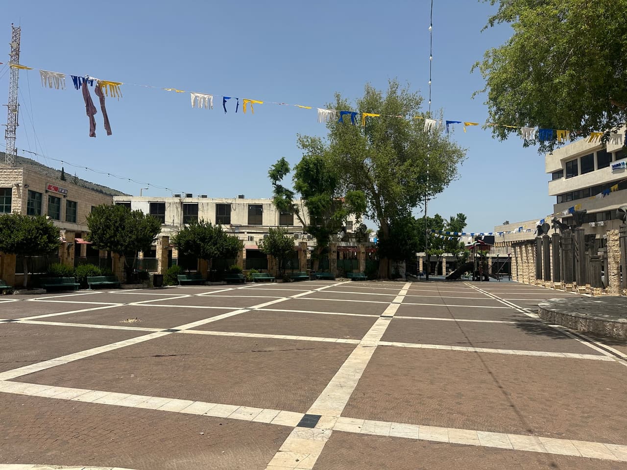 זאב זבוטינסקי