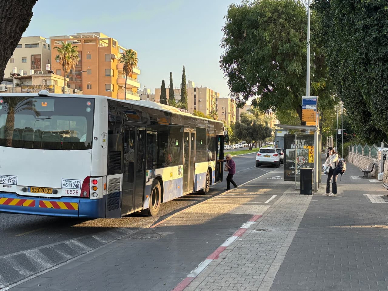 משה דיין