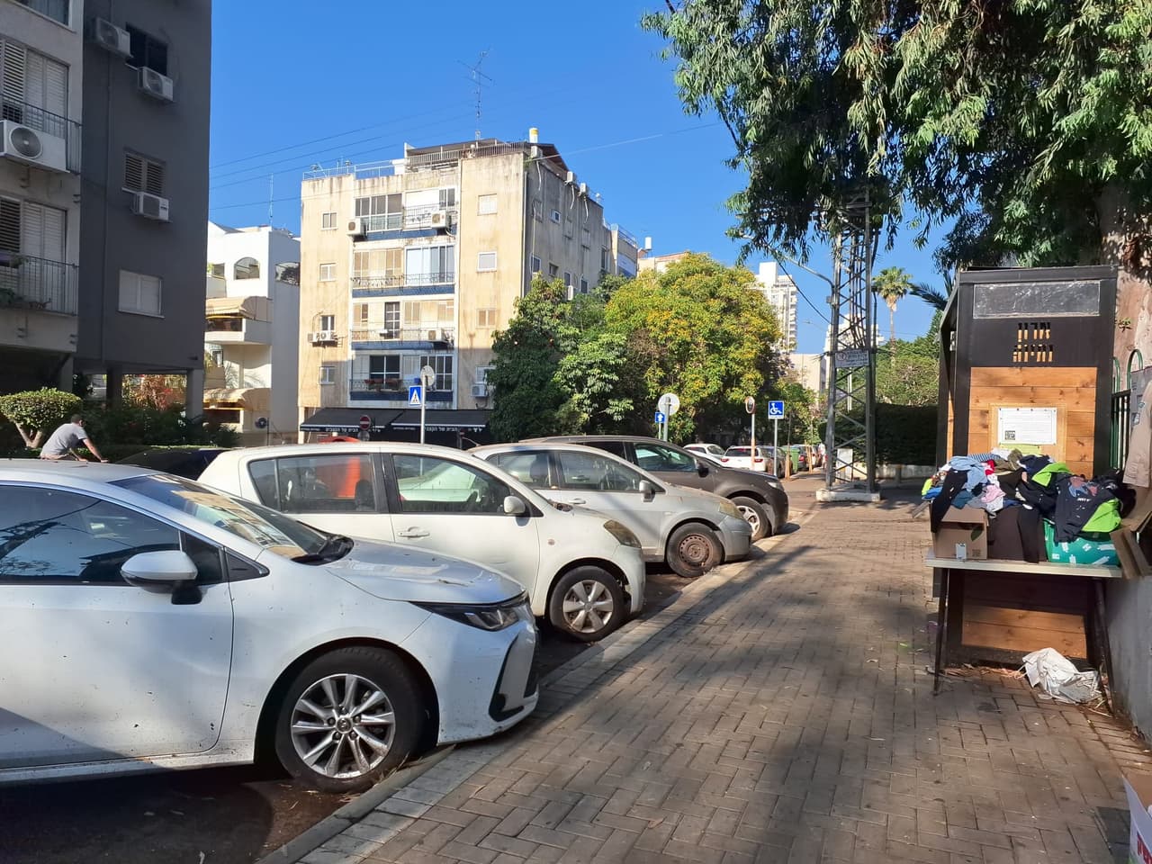 גורדון