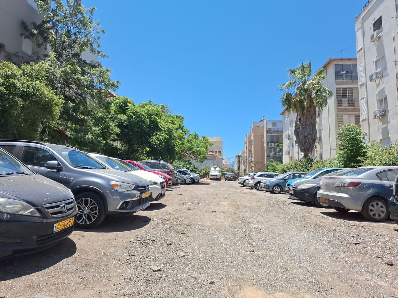 דר' מוסקוביץ'