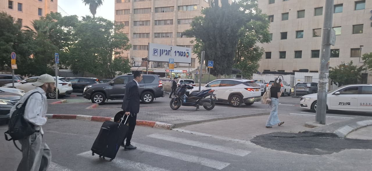 הצבי