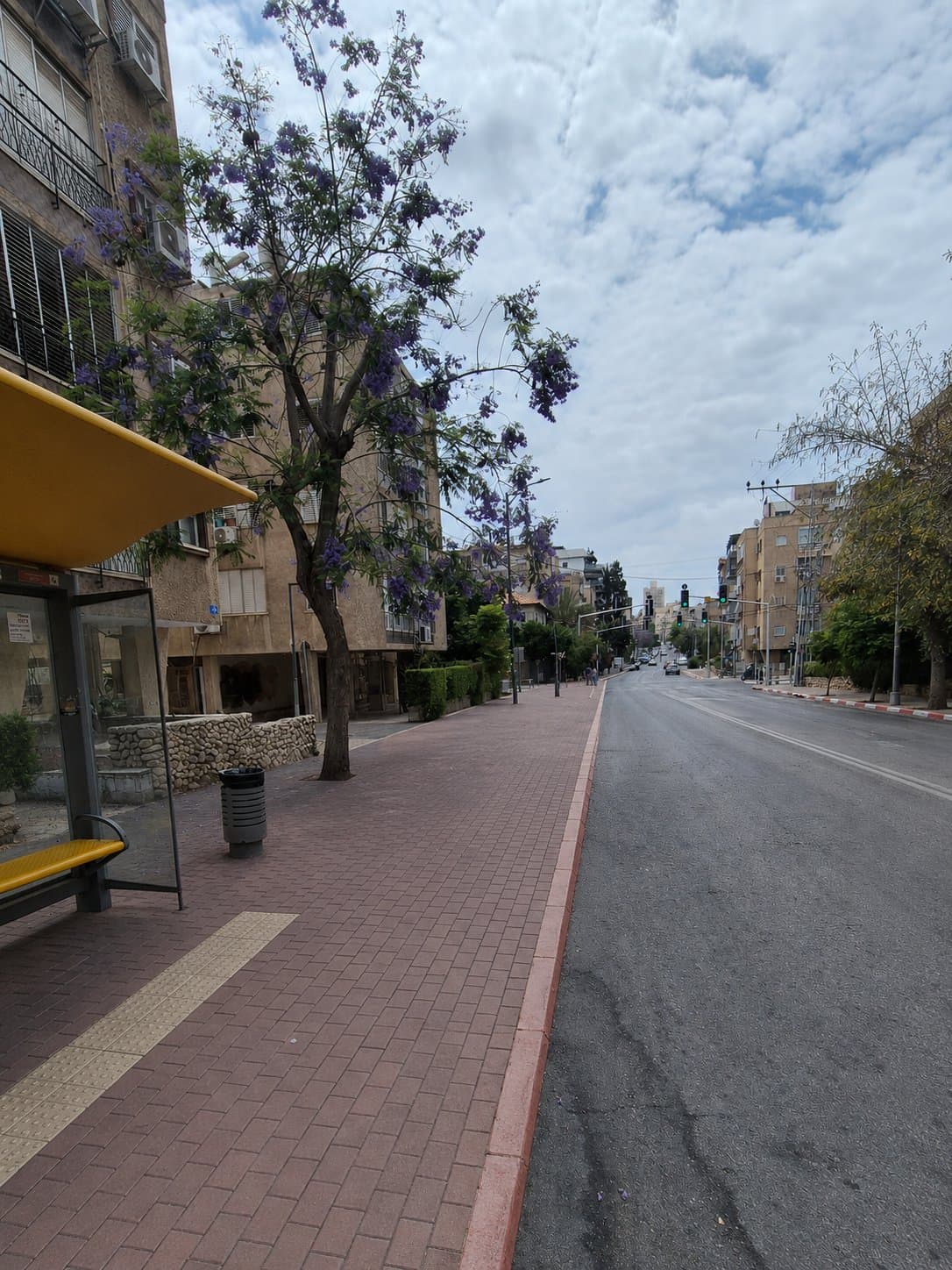 יהודה הלוי