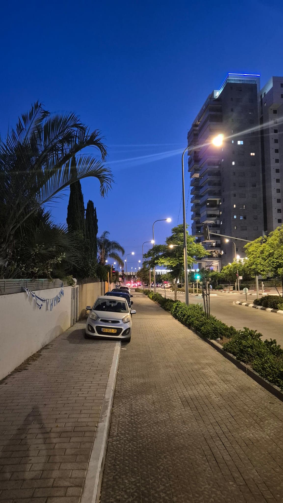 הפלמ"ח 65