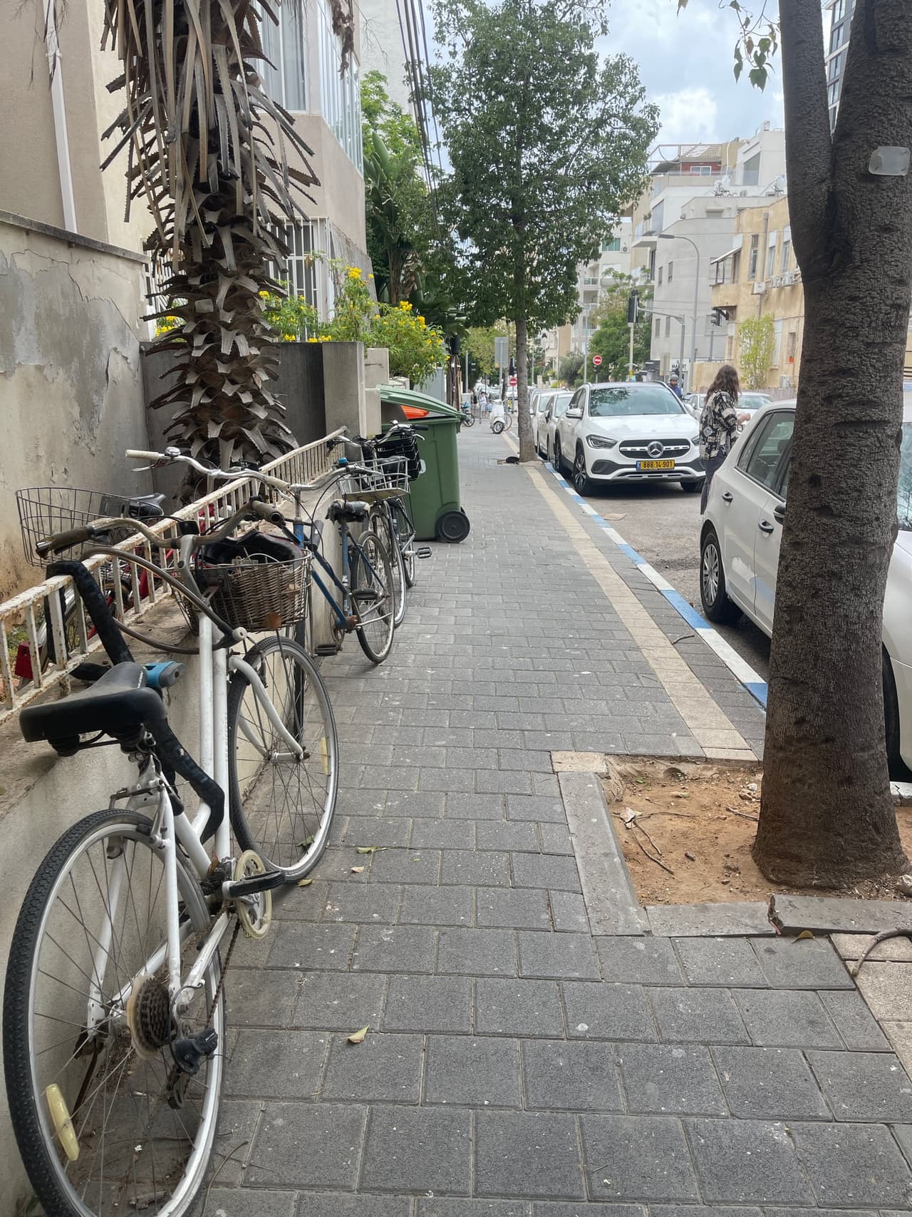 הרב קוק 29