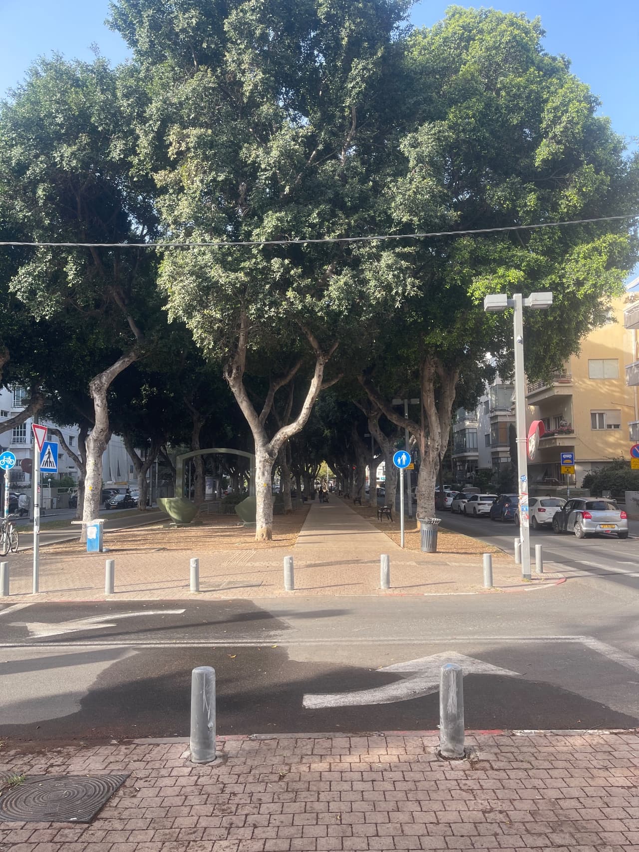 בר אילן