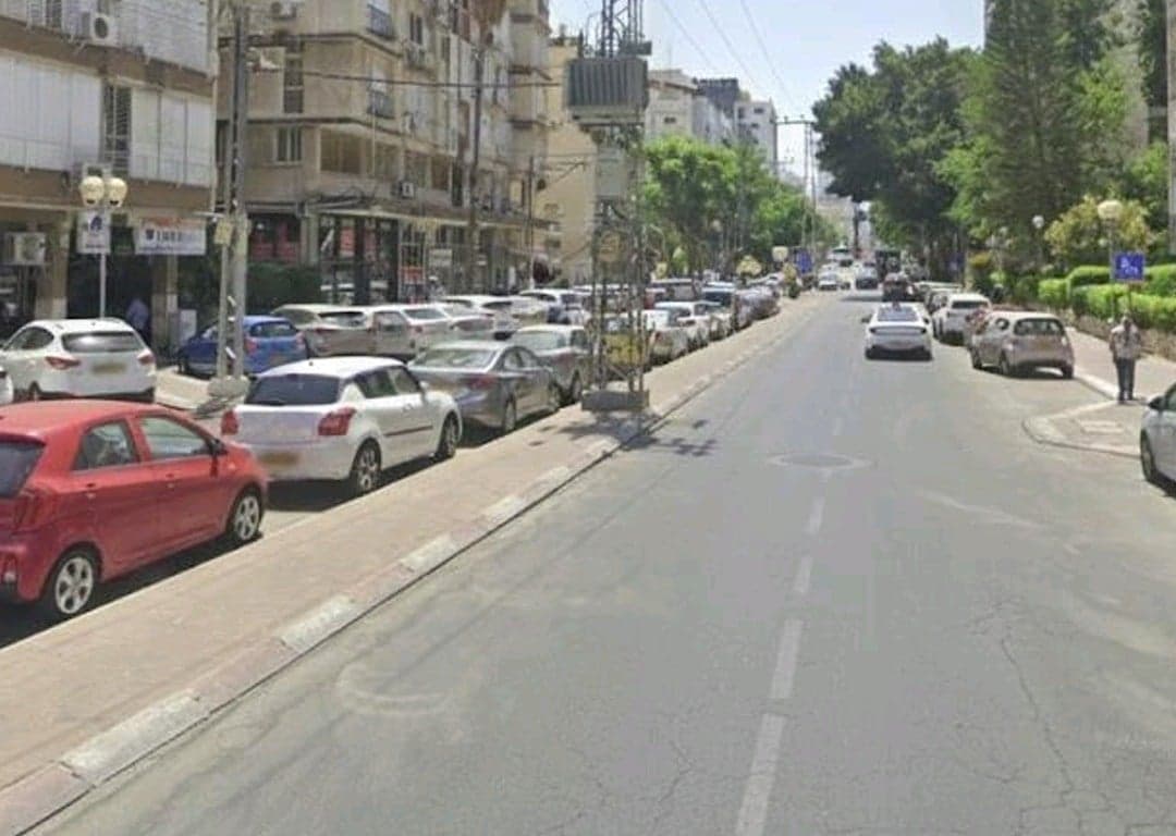 אריה שנקר 28