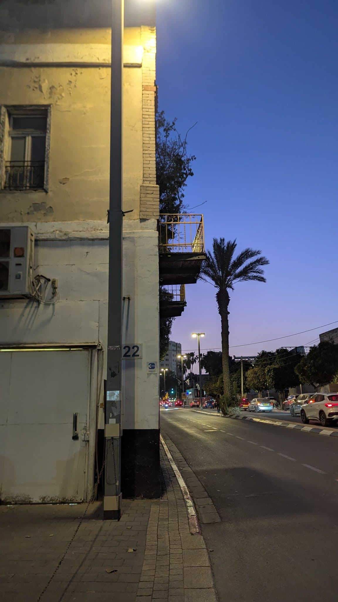 בן צבי