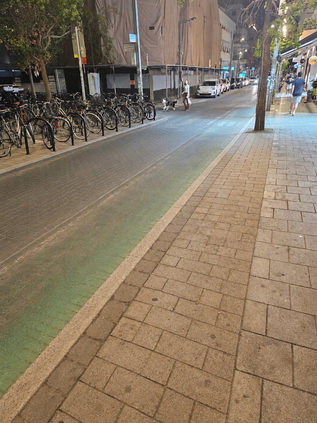 שינקין 34