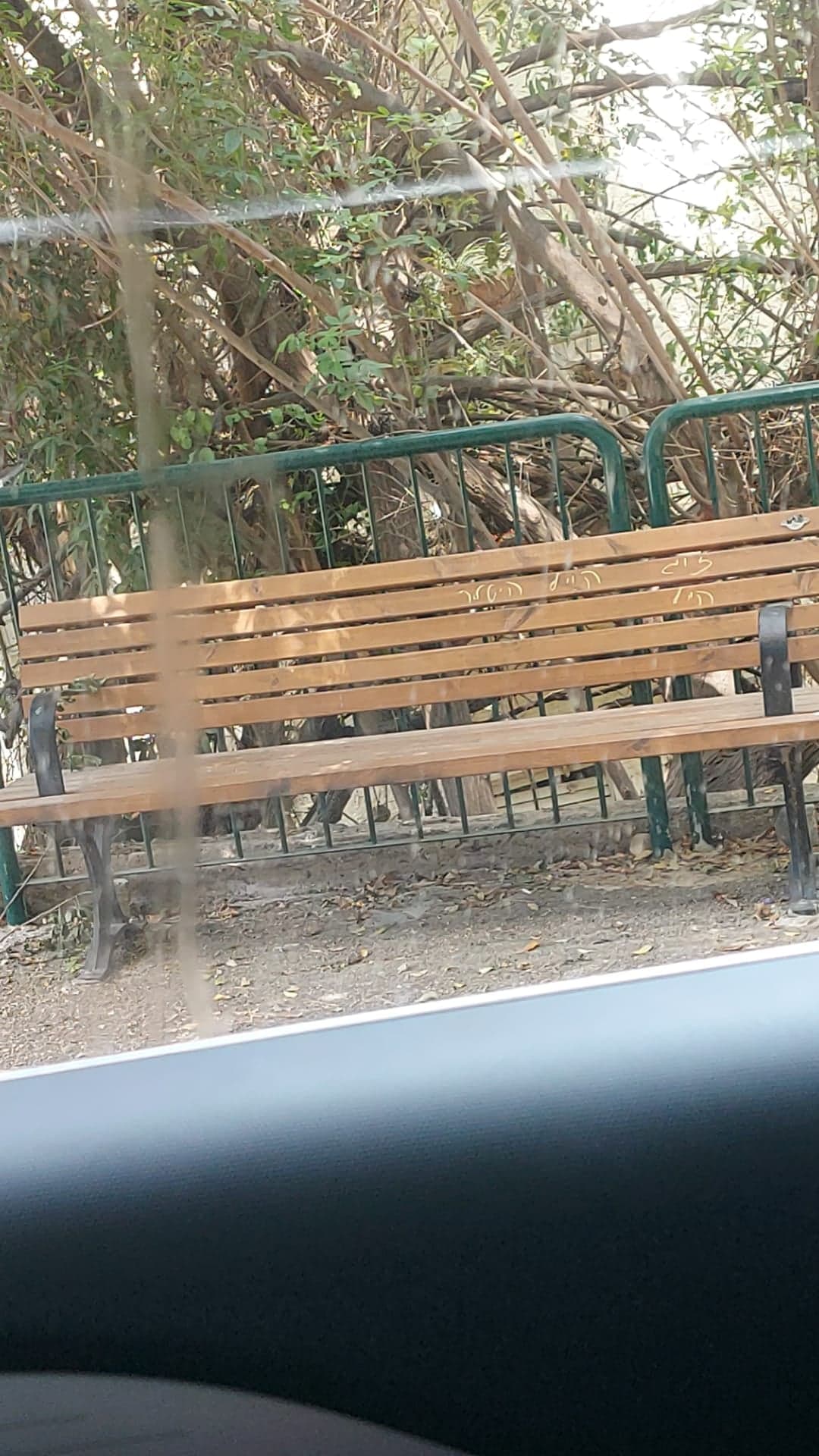חיפה