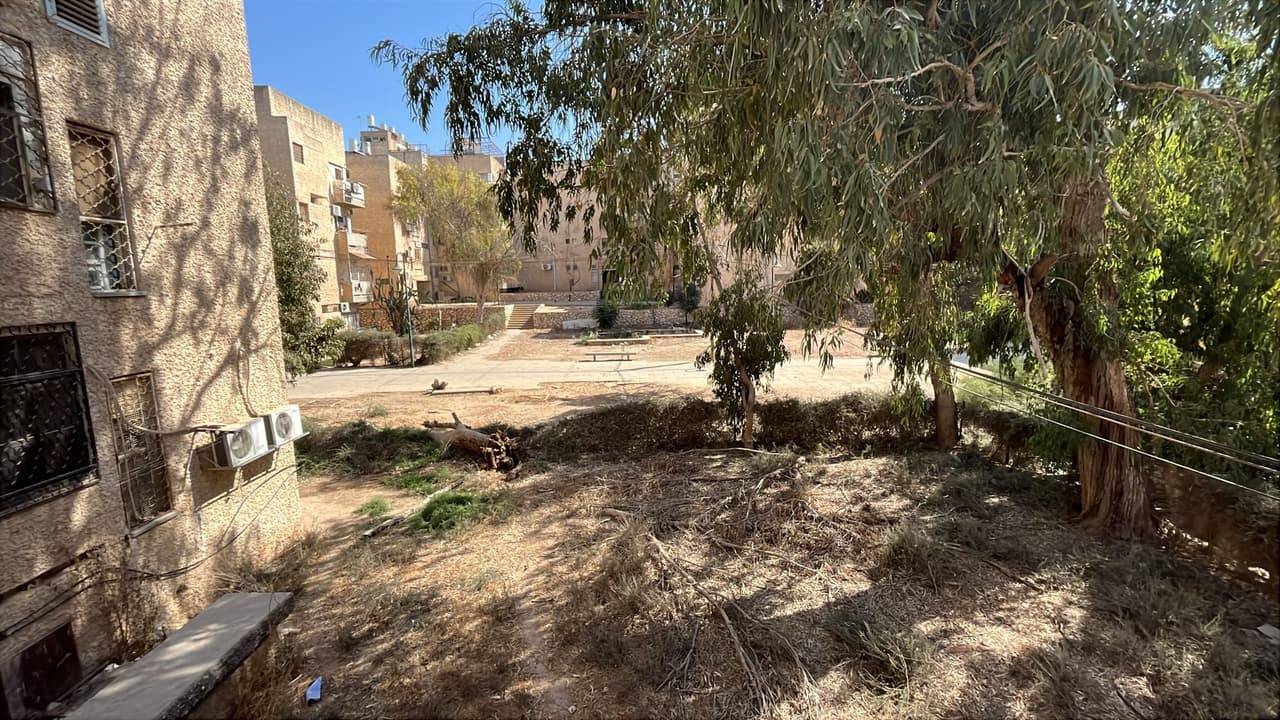 מצדה