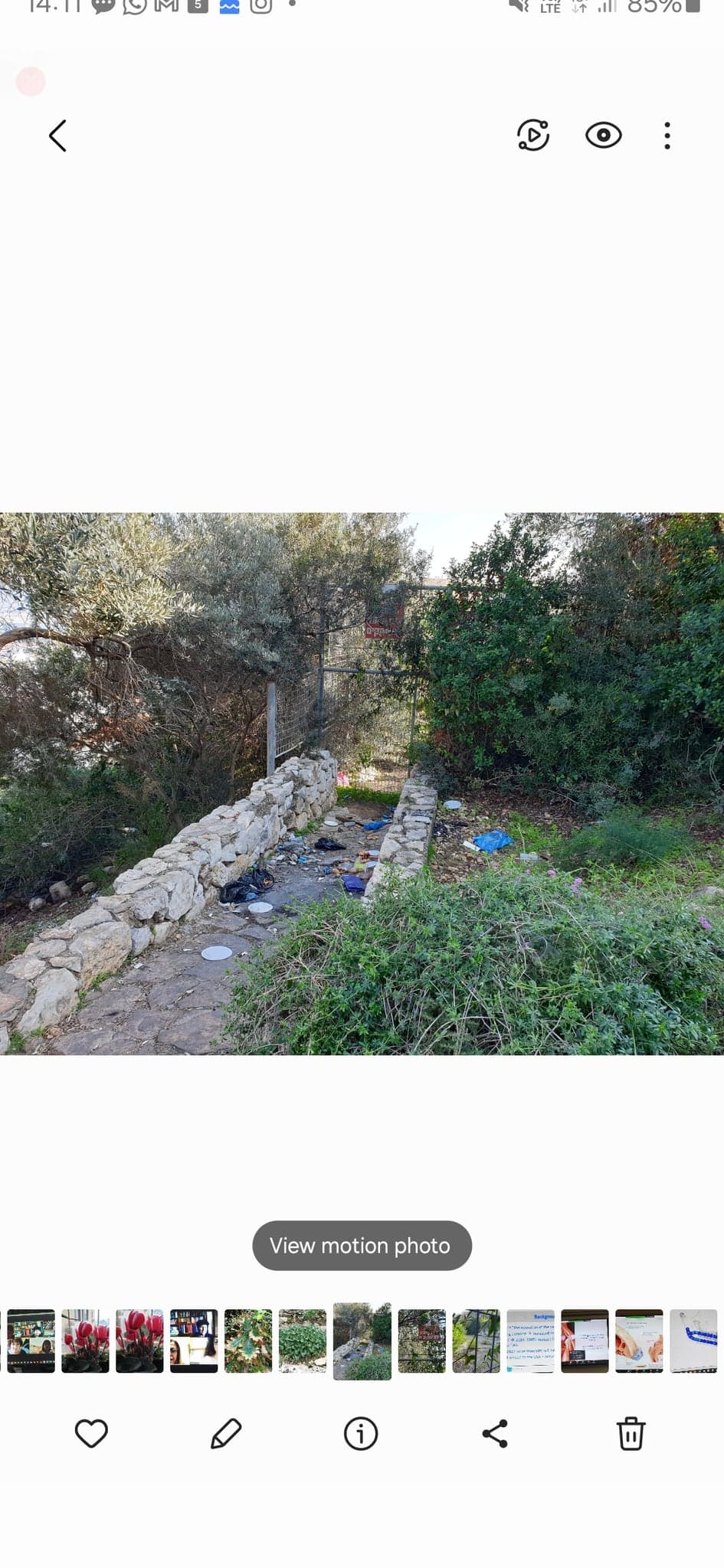 שניים בנובמבר