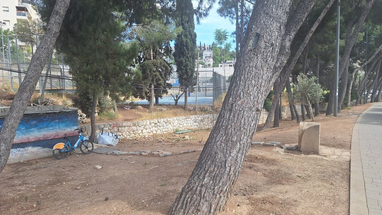 הרב הרצוג