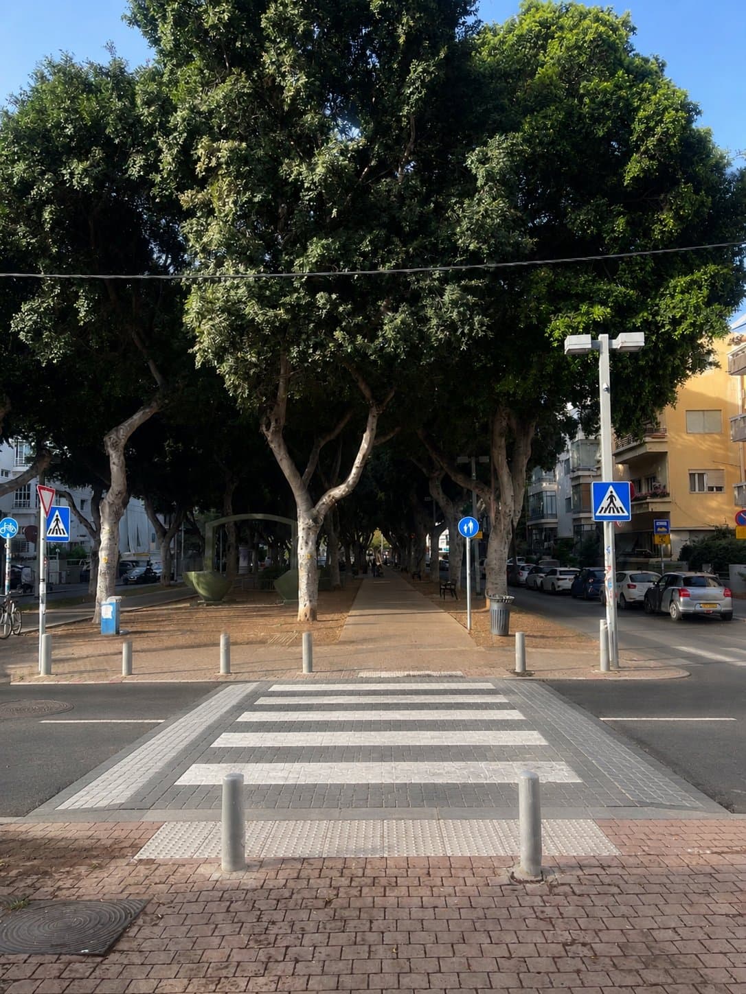 בר אילן
