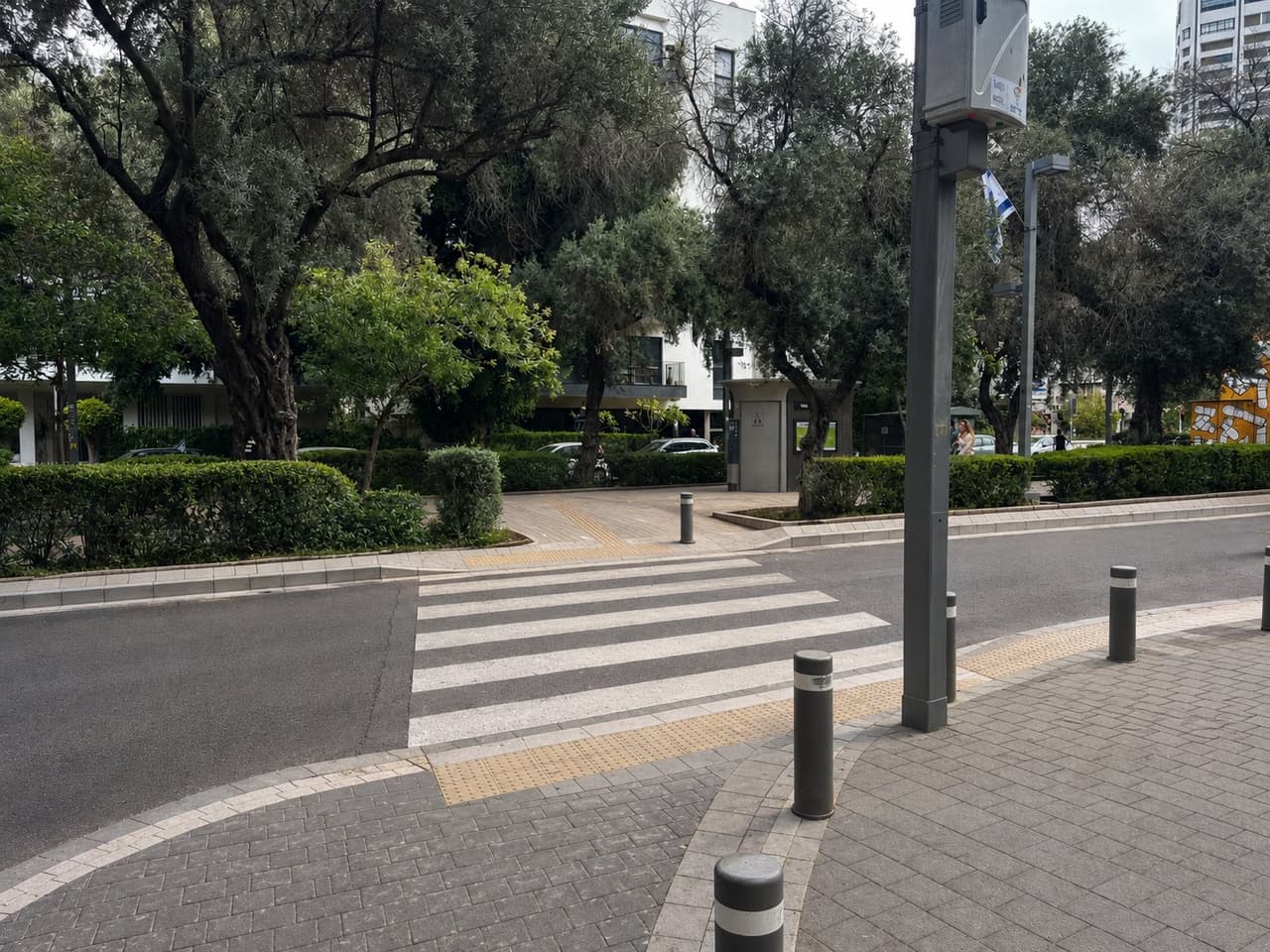 פילון 8
