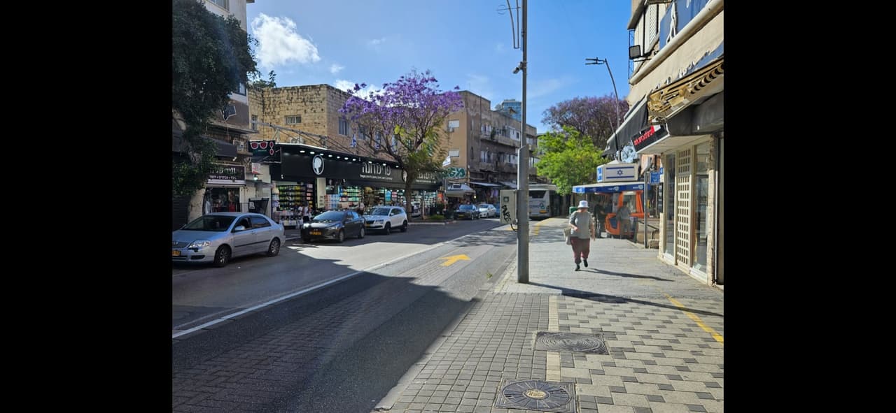 מטרונית