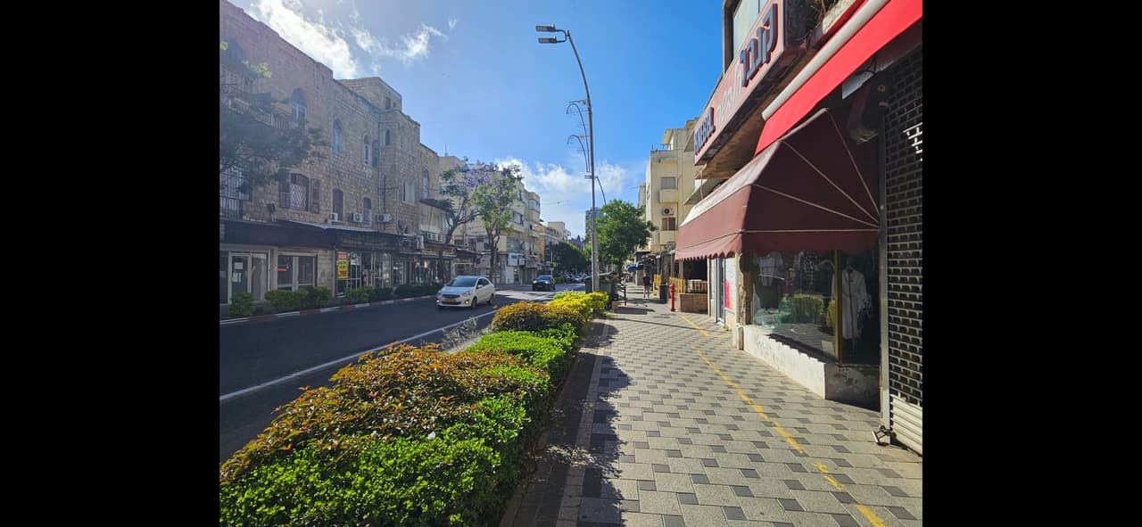 מטרונית