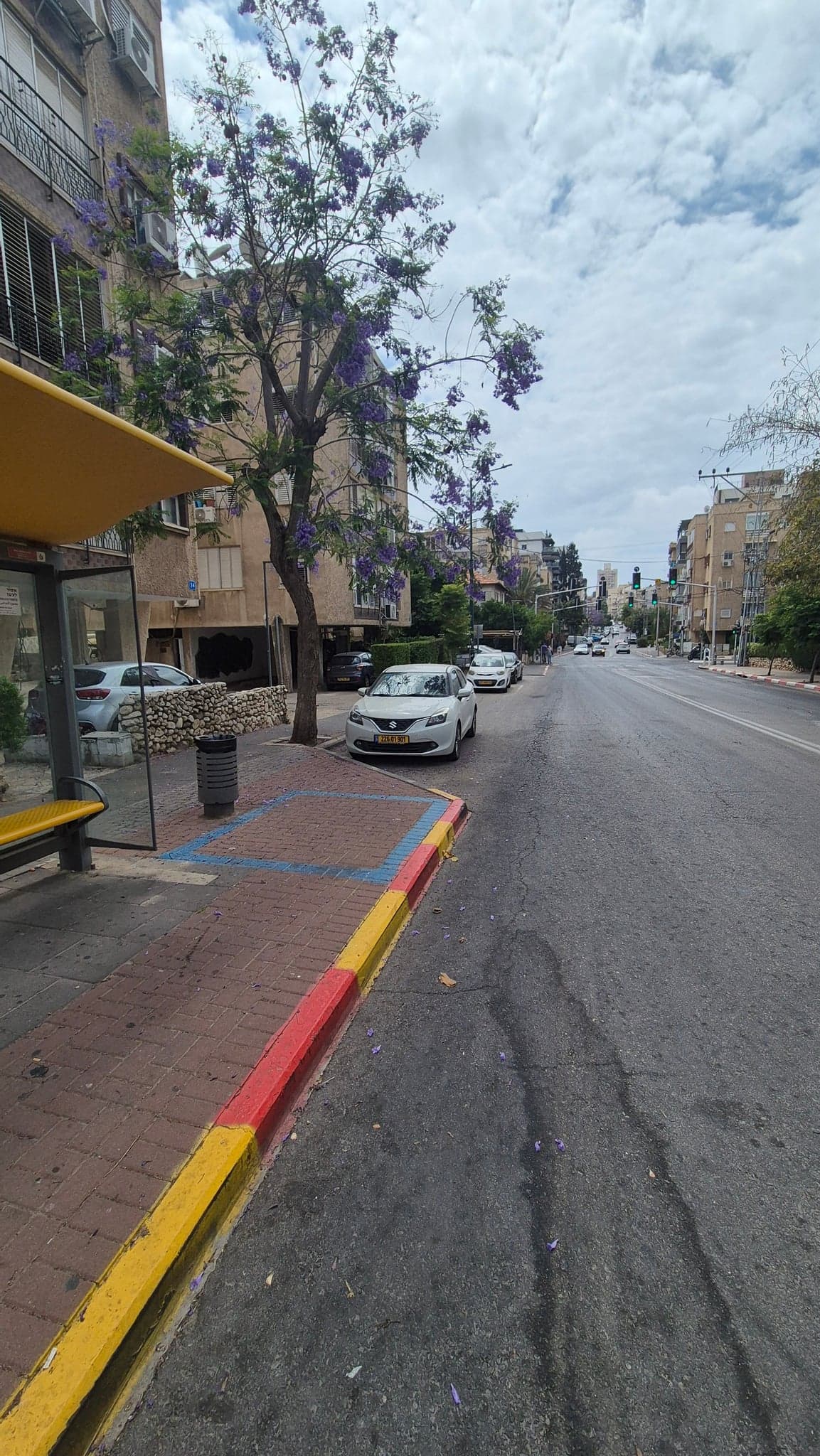 יהודה הלוי