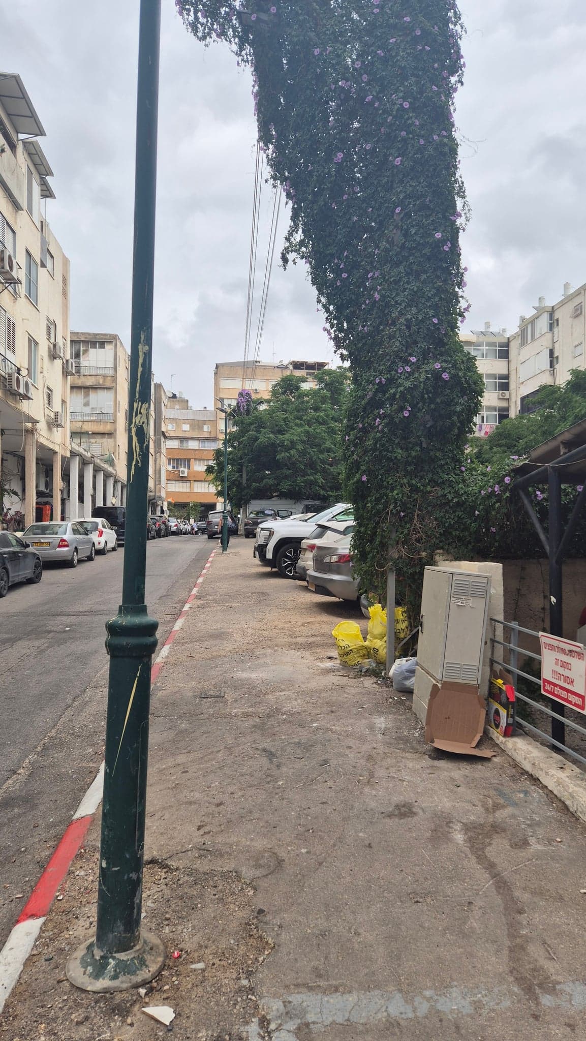הרב זינגר
