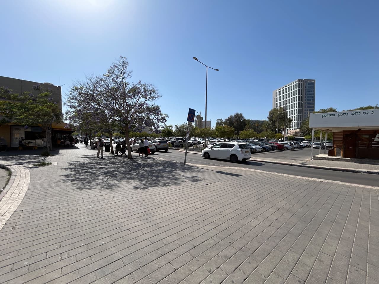 יהושע חנקין