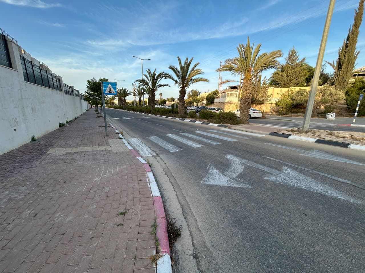 הר צין