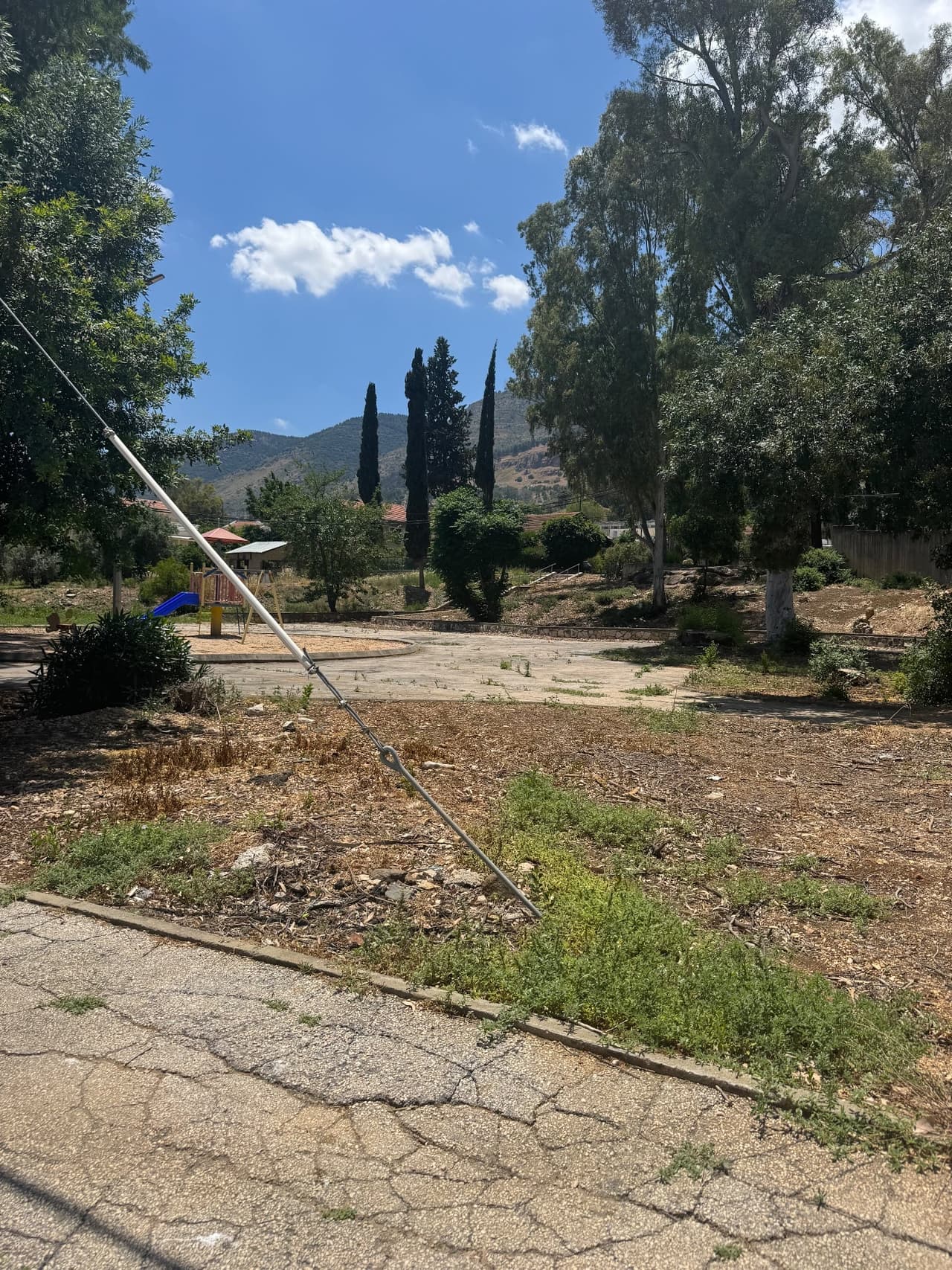 יוסף טרומפלדור