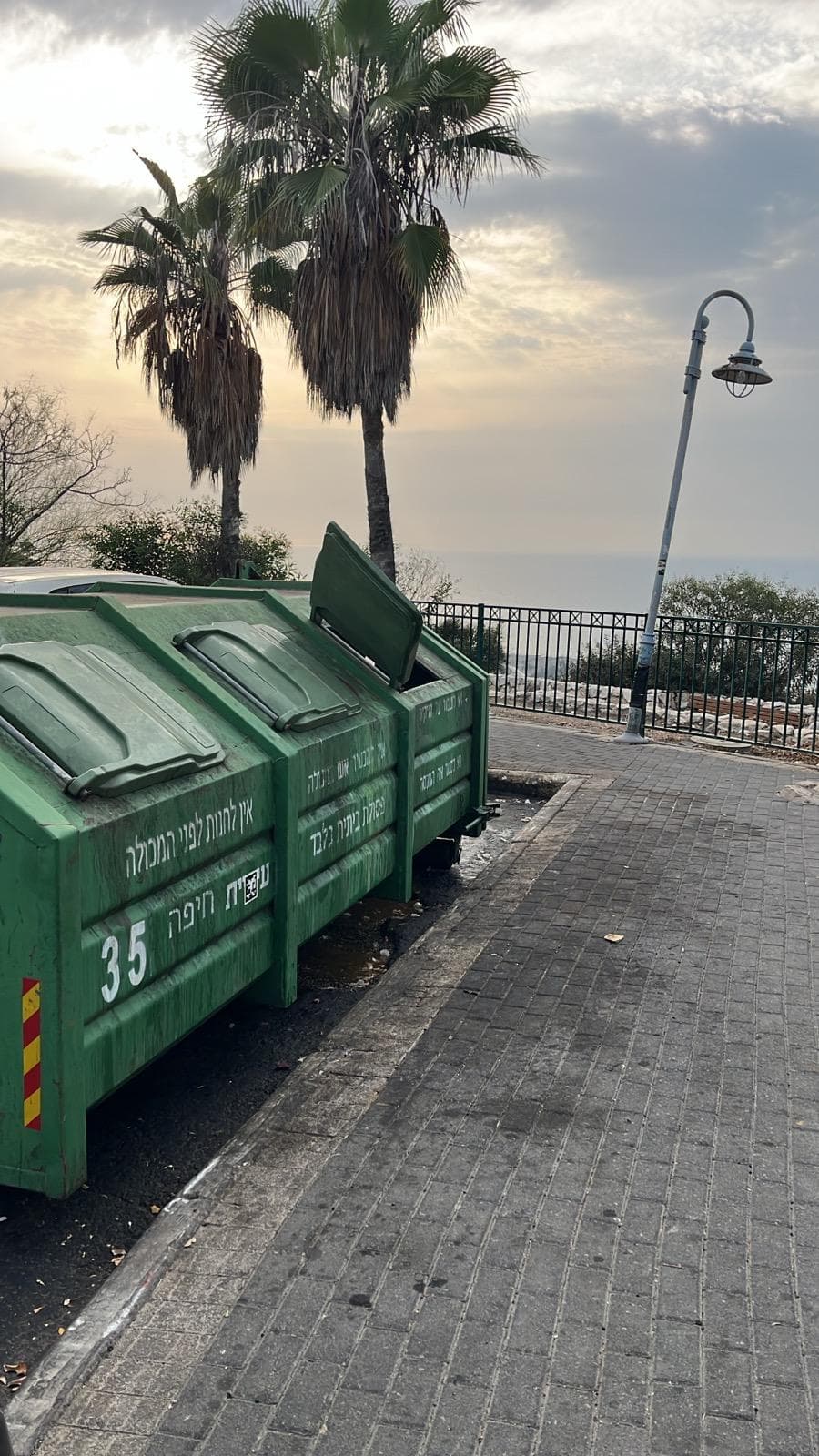 סטלה מאריס