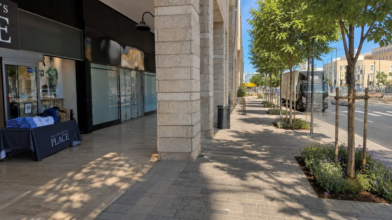 כנפי נשרים