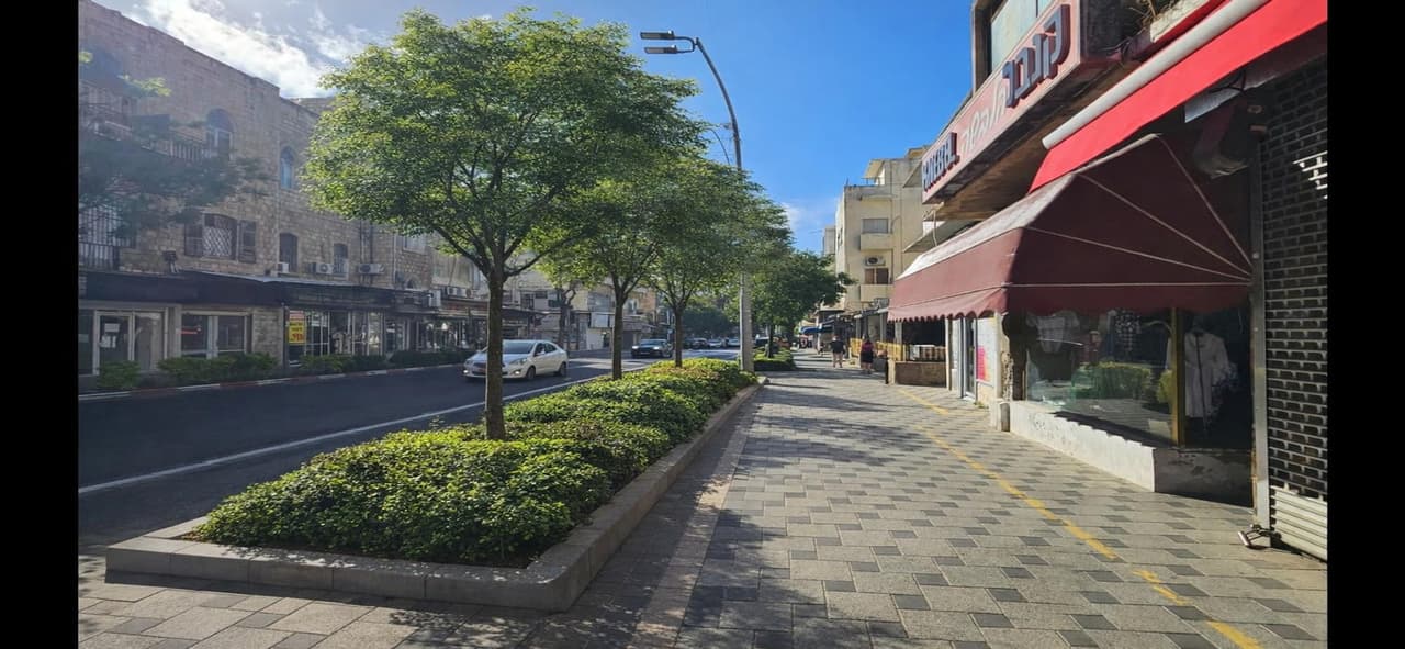 מטרונית